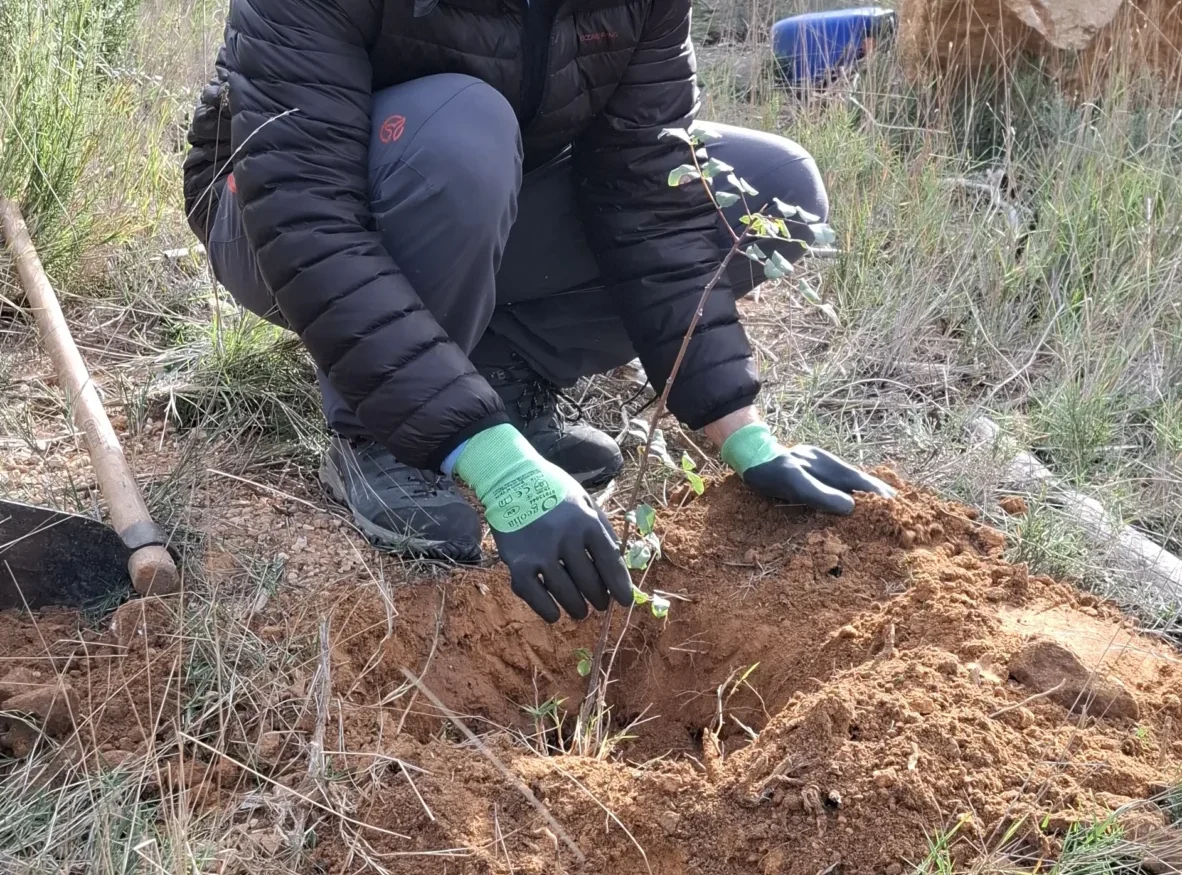 Plan de sostenibilidad escolar​ Olea Natura i territori
